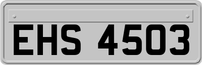 EHS4503