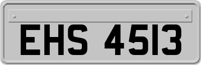EHS4513