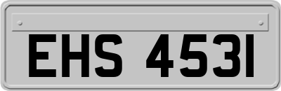 EHS4531