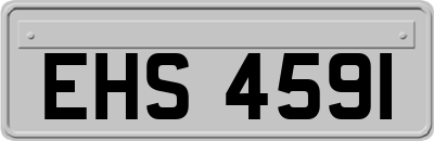 EHS4591