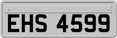 EHS4599