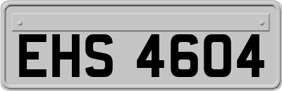 EHS4604