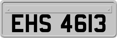 EHS4613