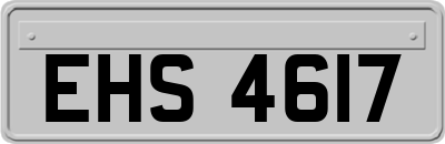 EHS4617