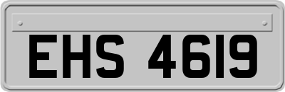 EHS4619