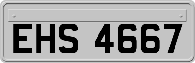 EHS4667