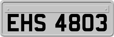 EHS4803