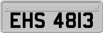 EHS4813