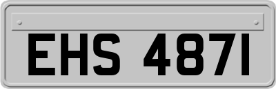 EHS4871