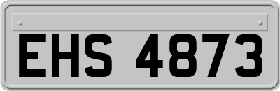 EHS4873