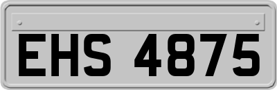 EHS4875