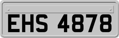 EHS4878
