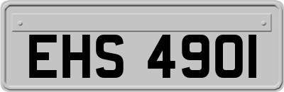 EHS4901