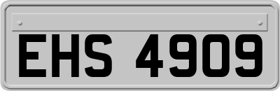 EHS4909