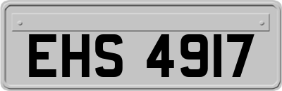 EHS4917