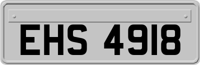 EHS4918