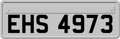 EHS4973