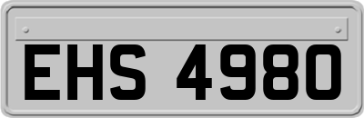 EHS4980