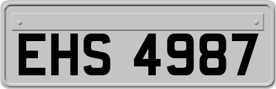 EHS4987