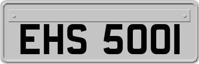 EHS5001