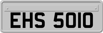 EHS5010