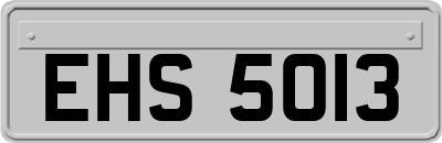 EHS5013