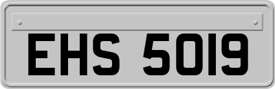 EHS5019