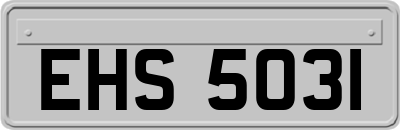 EHS5031