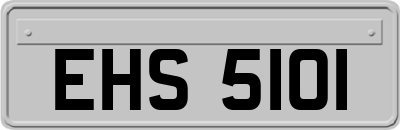 EHS5101
