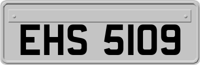 EHS5109