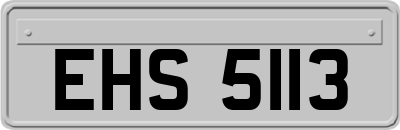 EHS5113
