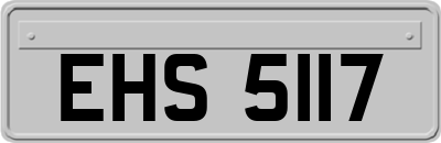 EHS5117