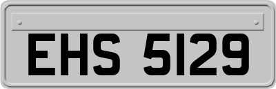 EHS5129