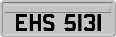 EHS5131