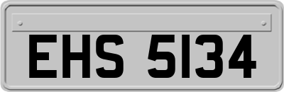 EHS5134