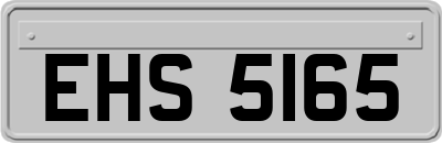 EHS5165