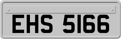 EHS5166