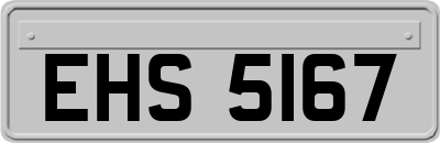EHS5167