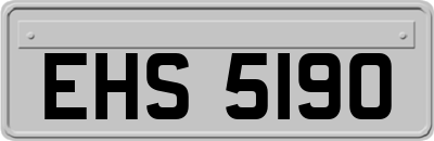EHS5190