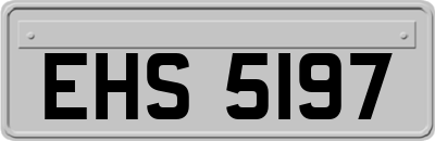 EHS5197