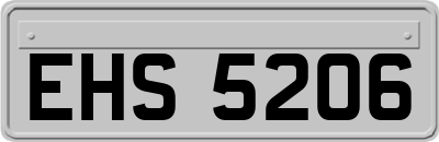 EHS5206