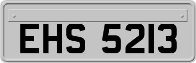 EHS5213