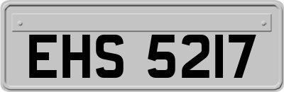 EHS5217