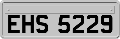 EHS5229