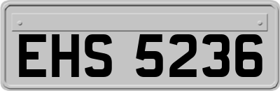 EHS5236