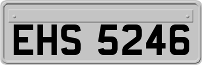EHS5246