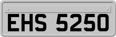 EHS5250