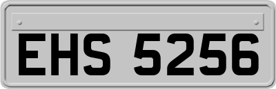 EHS5256