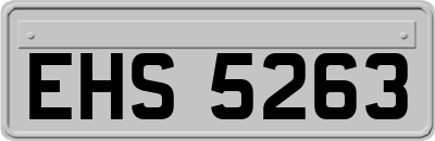 EHS5263