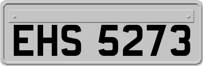 EHS5273